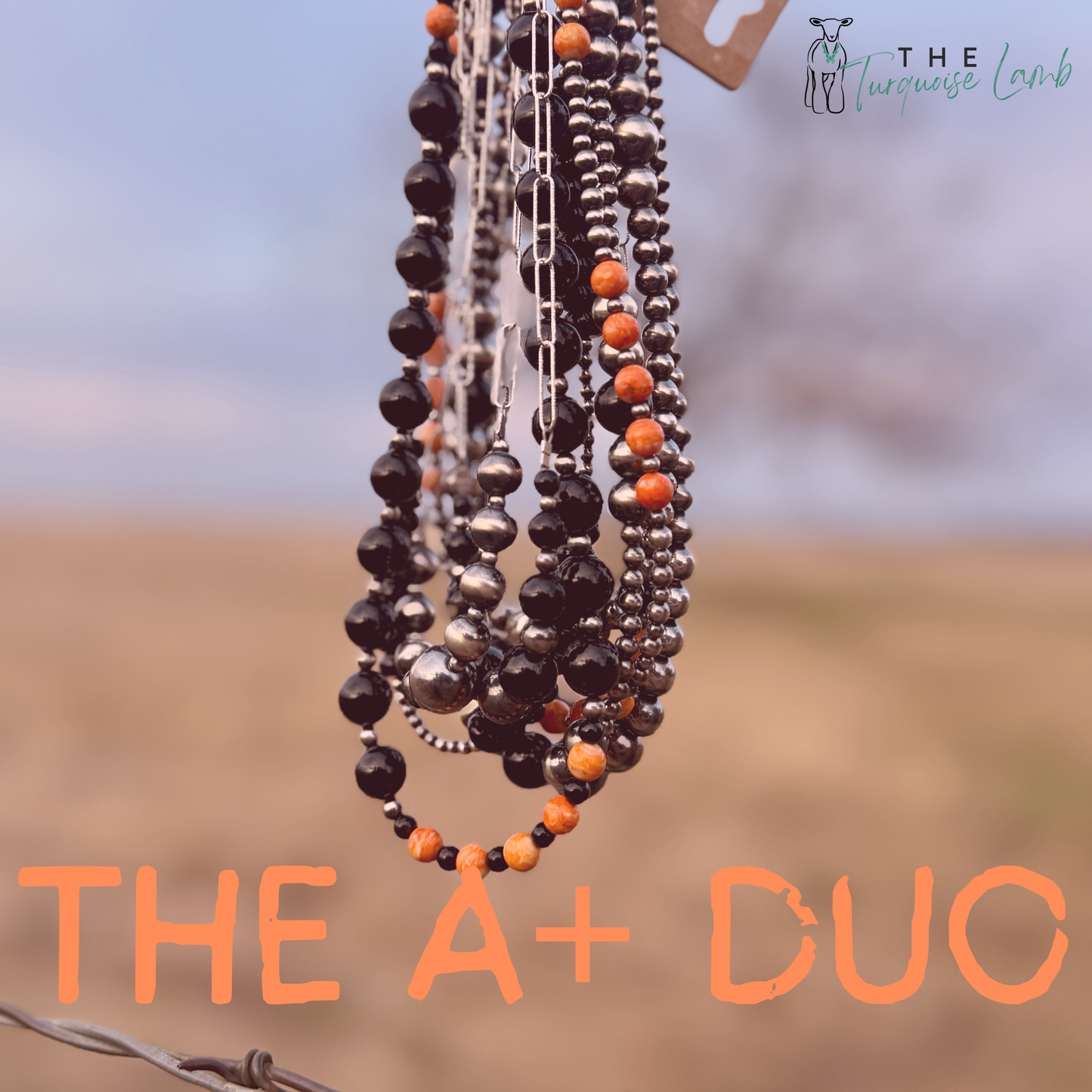 A+ DUO