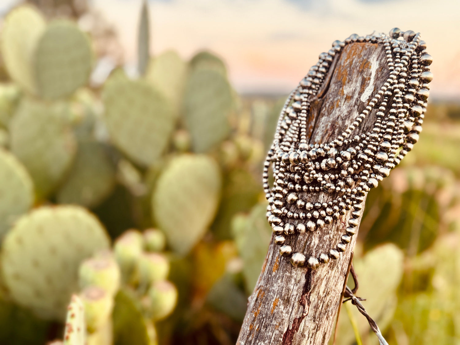 The Lamb Club | Monthly Subscription Boxes