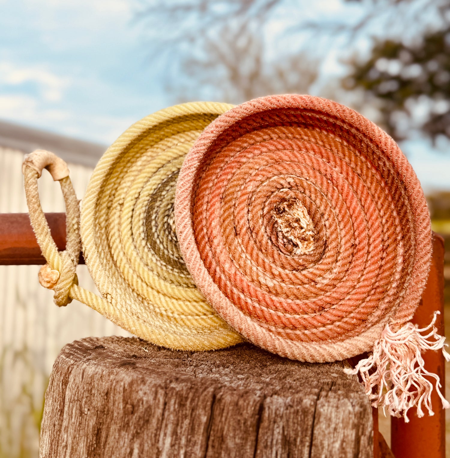 Lamb Catch-Alls