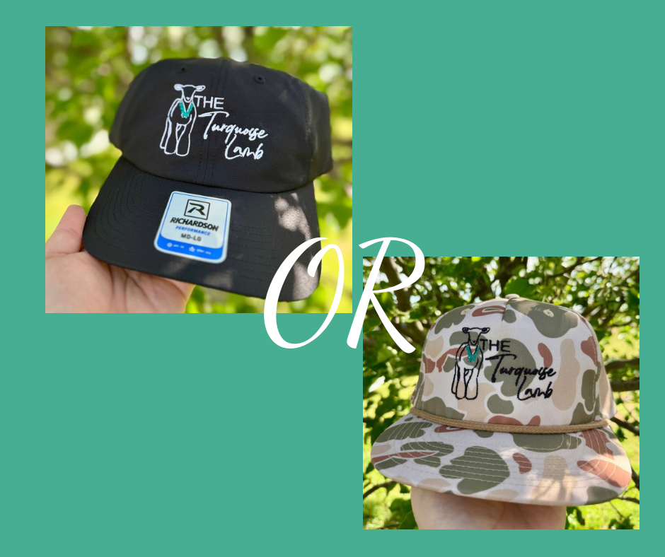 THE TURQUOISE LAMB STARTER PACK