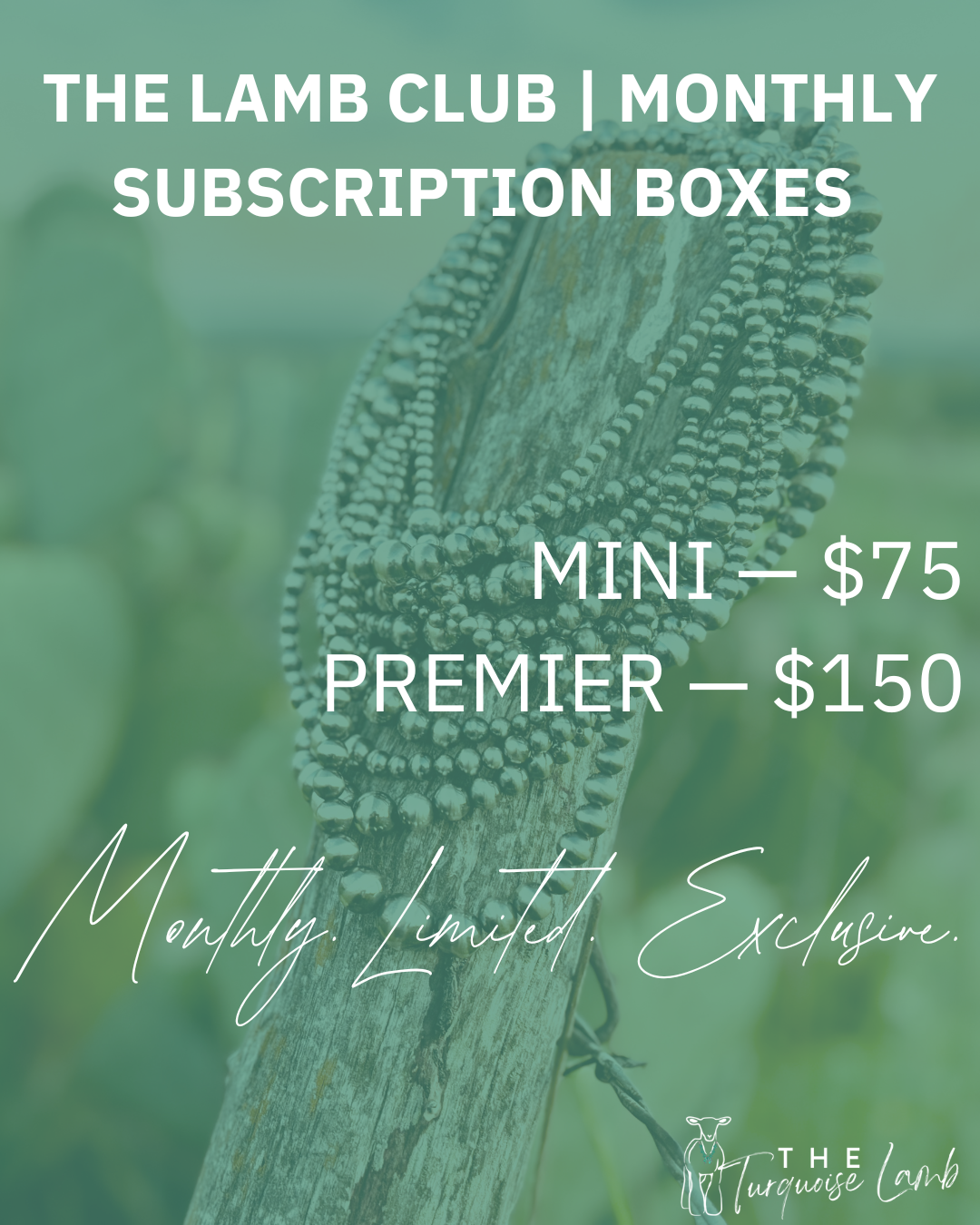 The Lamb Club — Monthly Subscription Boxes